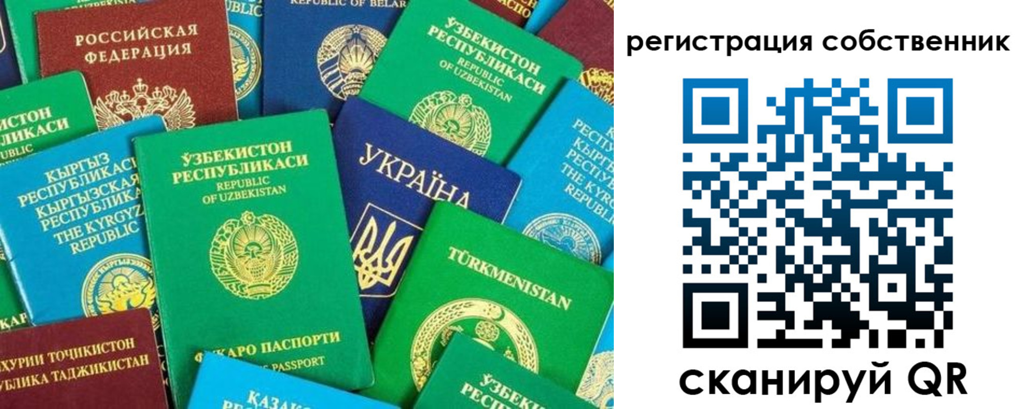 прописка в Нелидово
